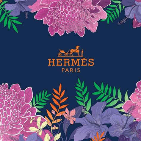 Hermes promotional picture